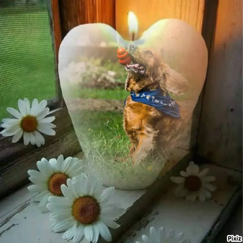 Condolence image of Sabine Wittich
