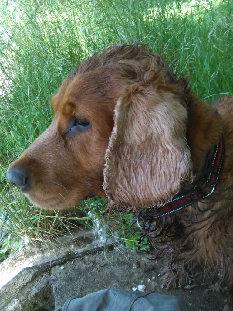 Condolence image of Unbekannt