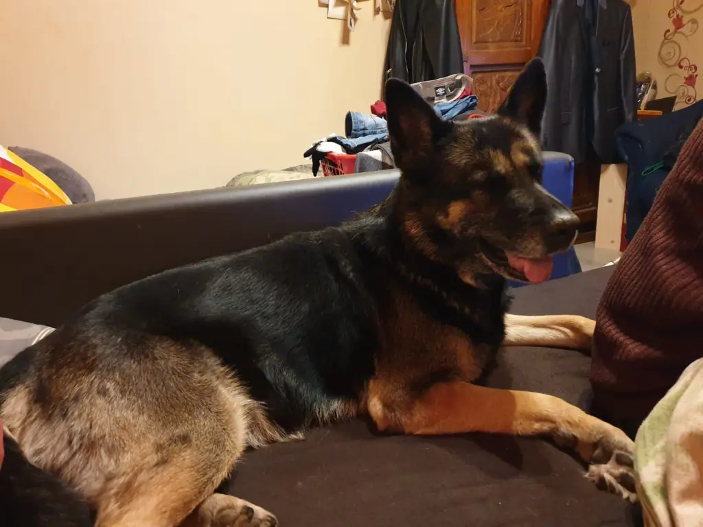 Image from Luna