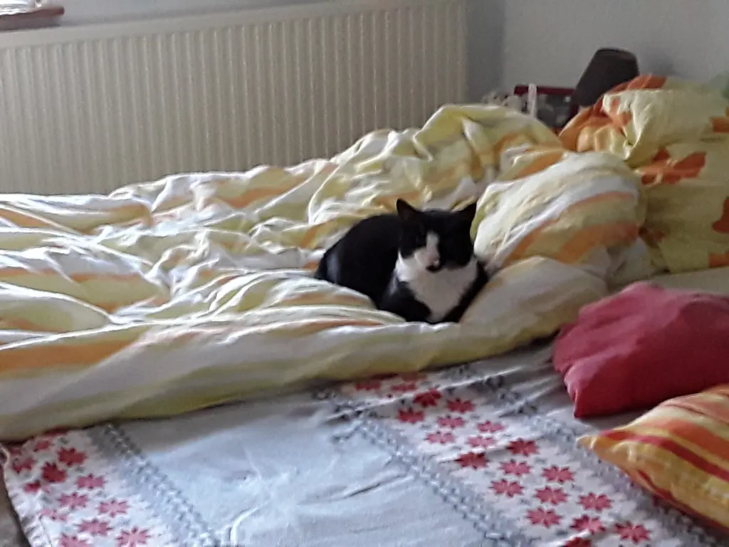 Andachtsbild von Deine Mutti Eike und Oma Edeltraud 