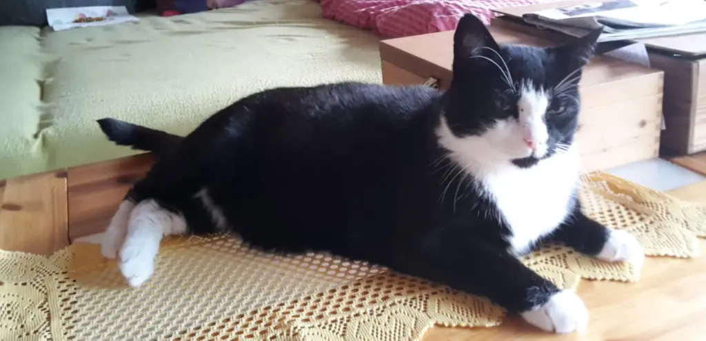 Andachtsbild von Deine Mutti Eike und Oma Edeltraud ♥️♥️