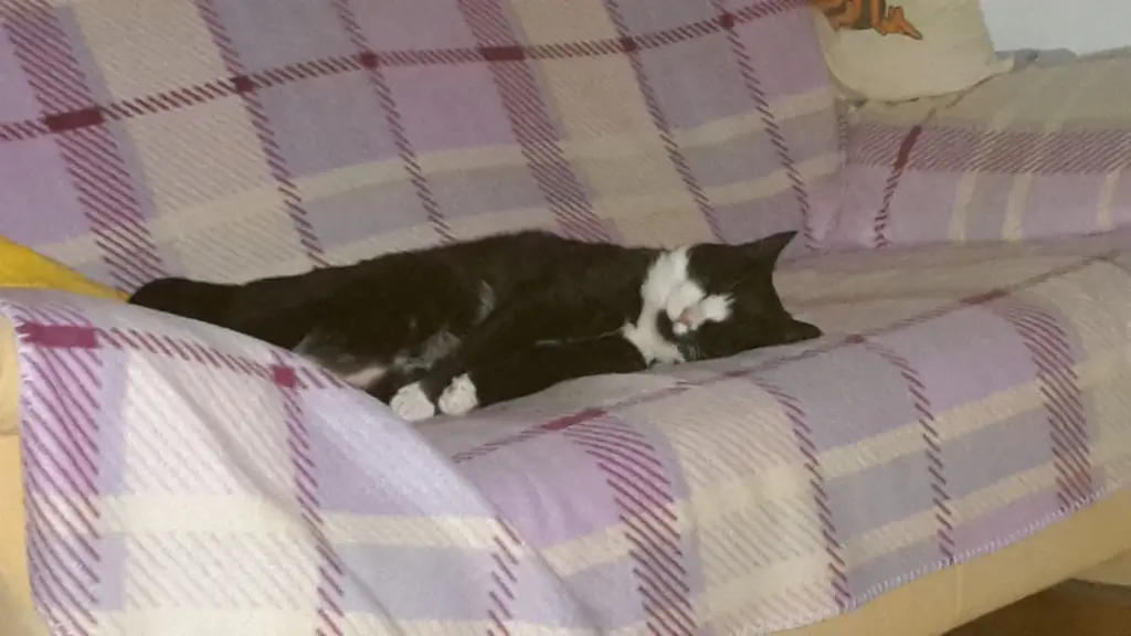 Andachtsbild von Deine Mutti Eike und Oma Edeltraud♥️♥️