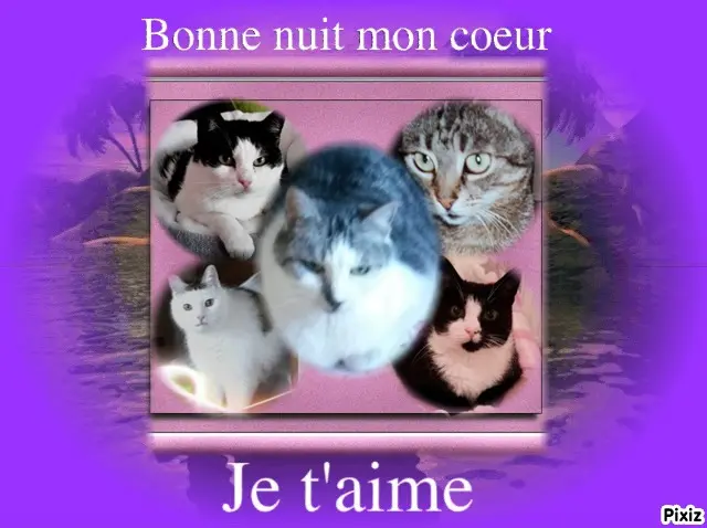 Andachtsbild von ❤️❤️❤️❤️❤️