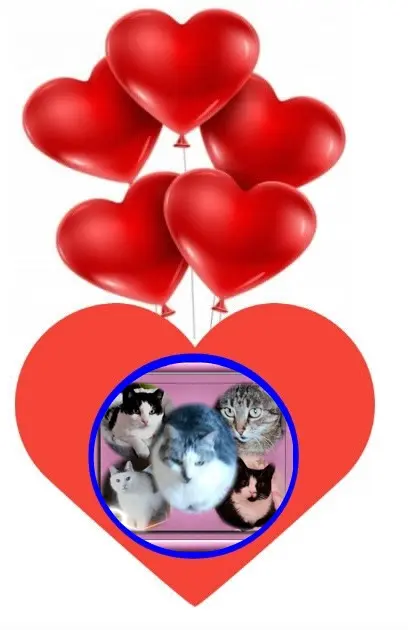 Andachtsbild von ❤️❤️❤️