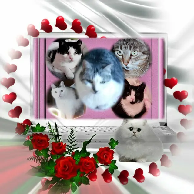 Andachtsbild von Deine Mutti Eike und Oma Edeltraud 