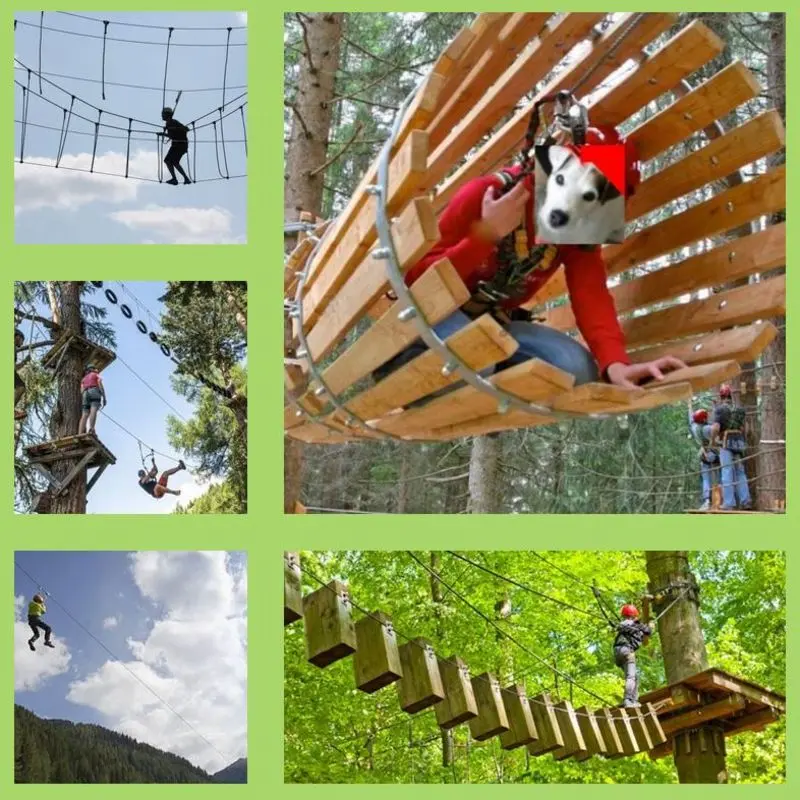 Andachtsbild von Eine Rose für Felix 