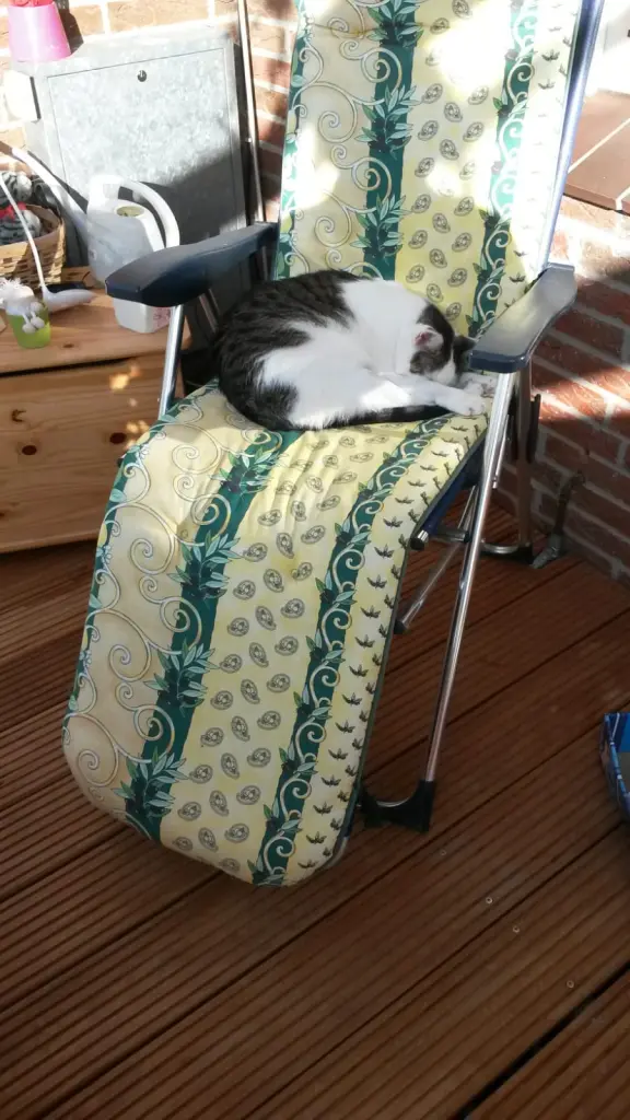 Andachtsbild von Deine Mutti Eike und Oma Edeltraud ❤❤