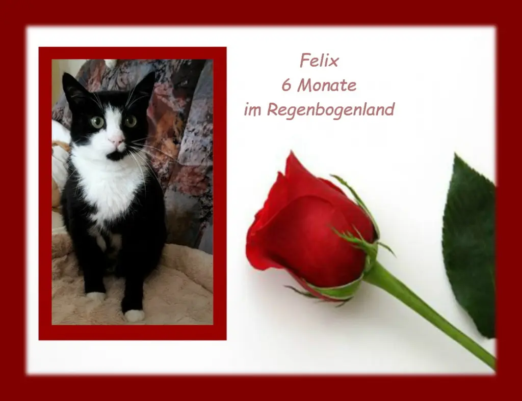 Andachtsbild von Sabine mit Kaspar tief im Herzen