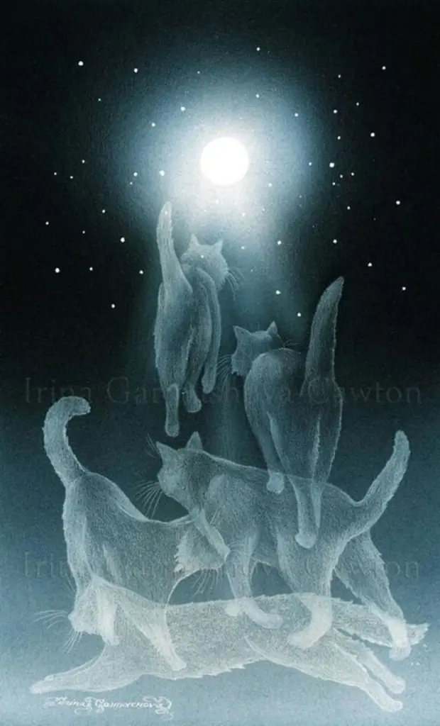 Andachtsbild von Tanja mit Timmy im Herzen 