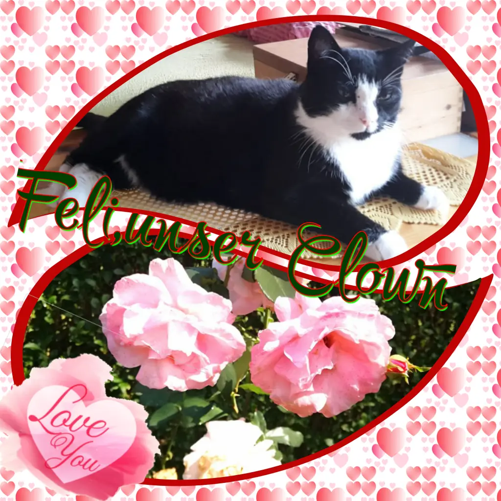 Andachtsbild von ❤Deine Mutti Eike und Oma Edeltraud ❤