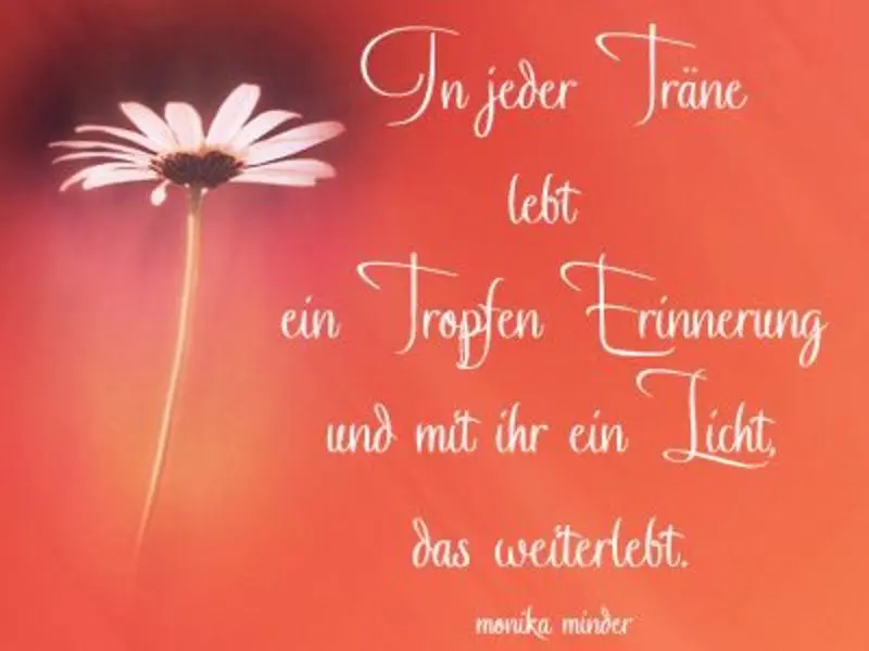 Andachtsbild von Ilse mit ihren geliebten Sternlein im Herzen