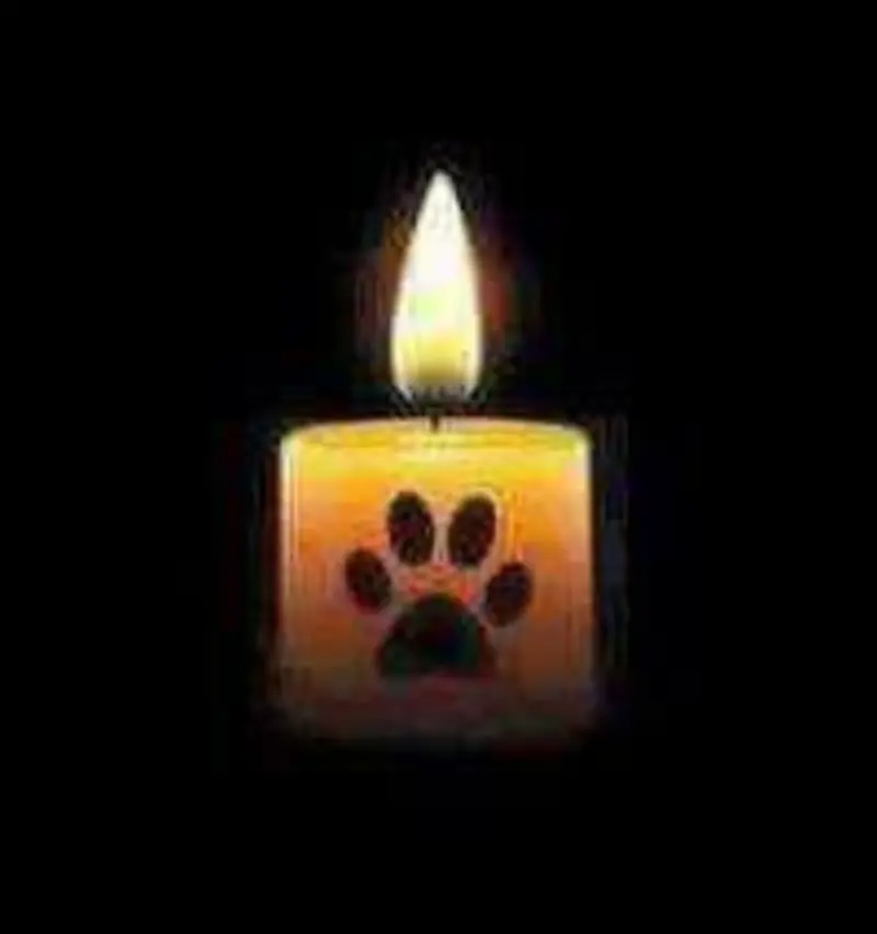 Andachtsbild von Ilse mit ihren geliebten Sternlein im Herzen