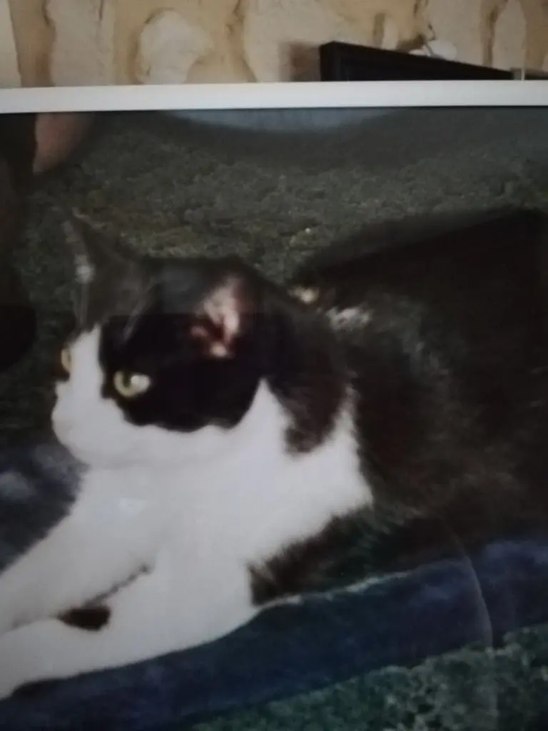 Andachtsbild von Marion