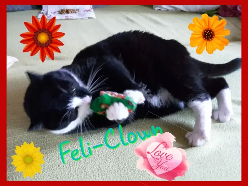 Andachtsbild von Deine Mutti Eike und Oma Edeltraud ❤❤