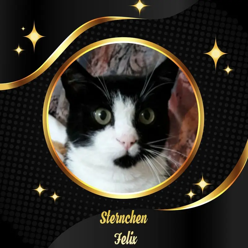 Andachtsbild von Unbekannt