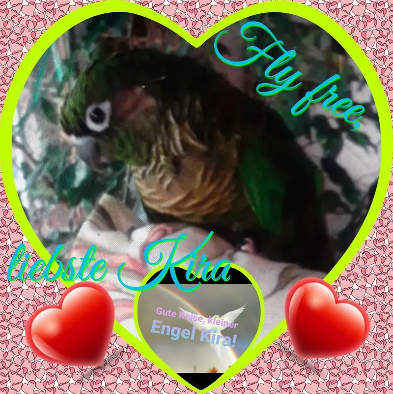 Andachtsbild von ❤Deine Mutti Eike und Oma Edeltraud ❤