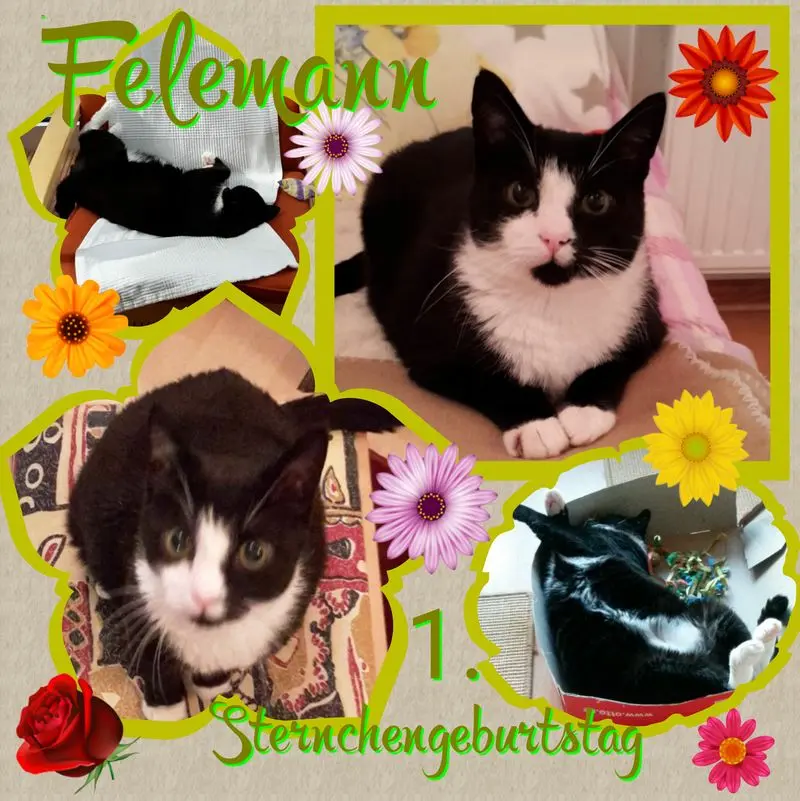 Andachtsbild von ❤Deine Mutti und Oma ❤