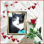 Andachtsbild von 1.Sternchen❤️Gedenktag❤️