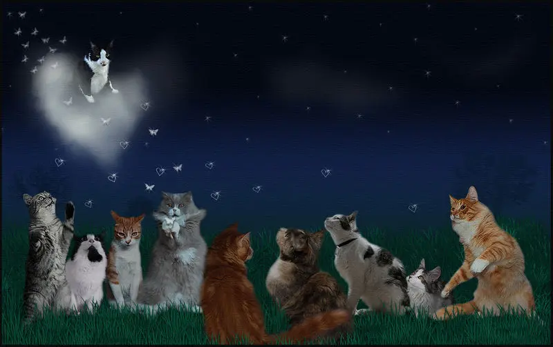 Andachtsbild von Tanja mit Timmy im Herzen 