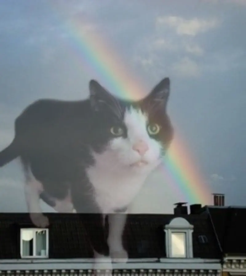 Andachtsbild von Tanja mit Timmy im Herzen 