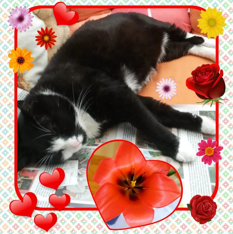 Andachtsbild von ❤Deine Mutti Eike und Oma Edeltraud ❤