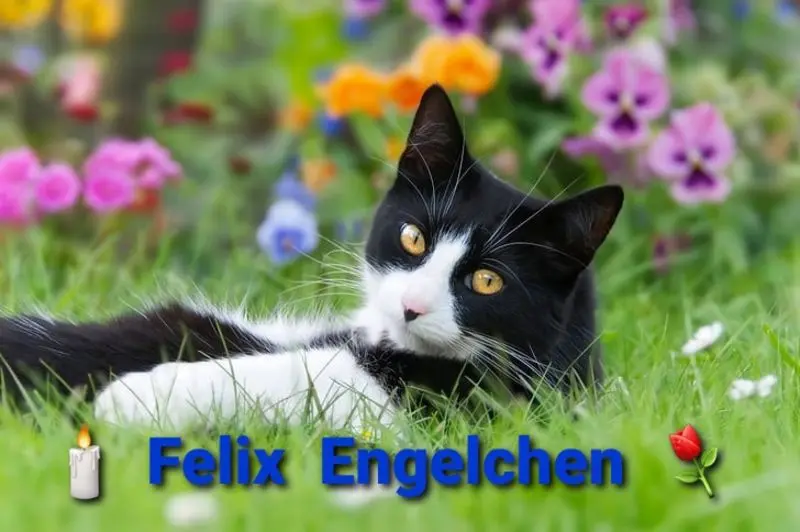 Andachtsbild von Tanja mit Timmy im Herzen 