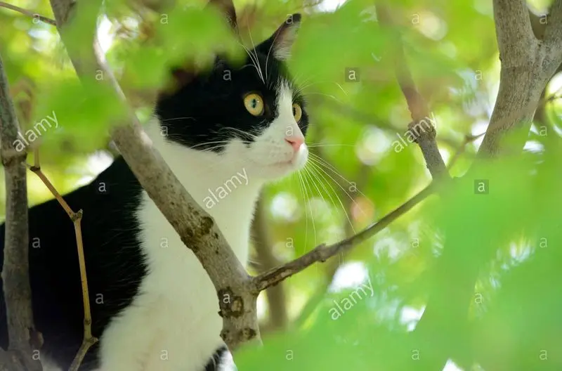 Andachtsbild von Tanja mit Timmy im Herzen 