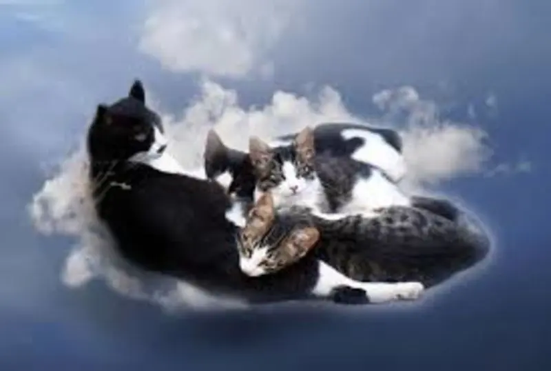 Andachtsbild von Tanja mit Timmy im Herzen 