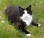 Andachtsbild von Tanja mit Timmy im Herzen 