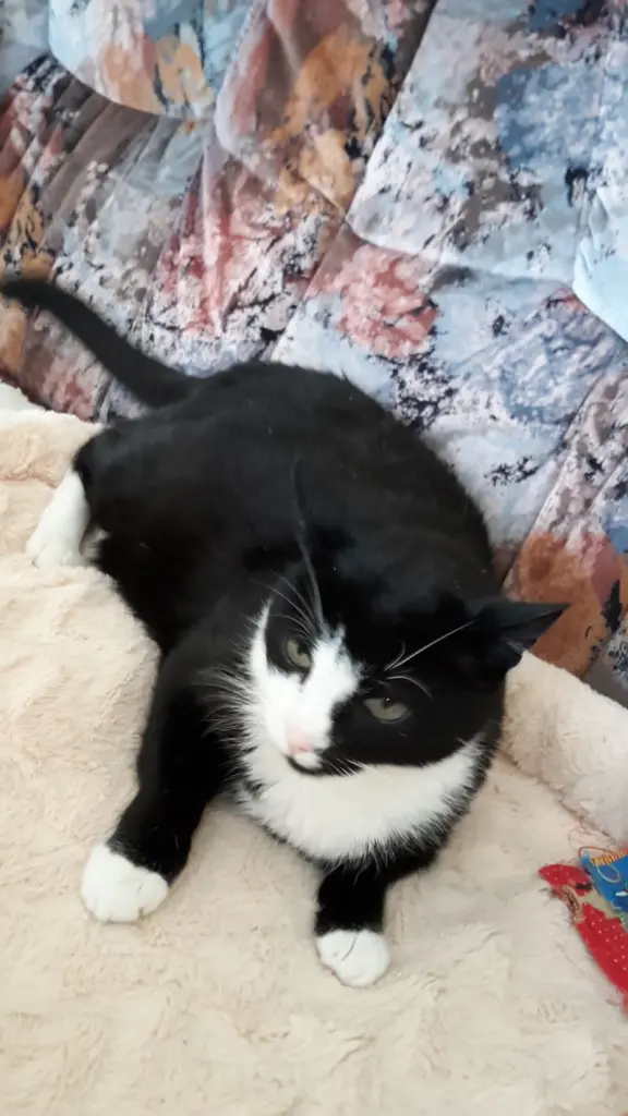 Andachtsbild von ❤Deine Mutti Eike und Oma Edeltraud ❤