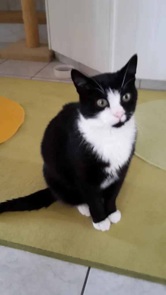 Andachtsbild von ❤Deine Mutti Eike und Oma Edeltraud ❤ 