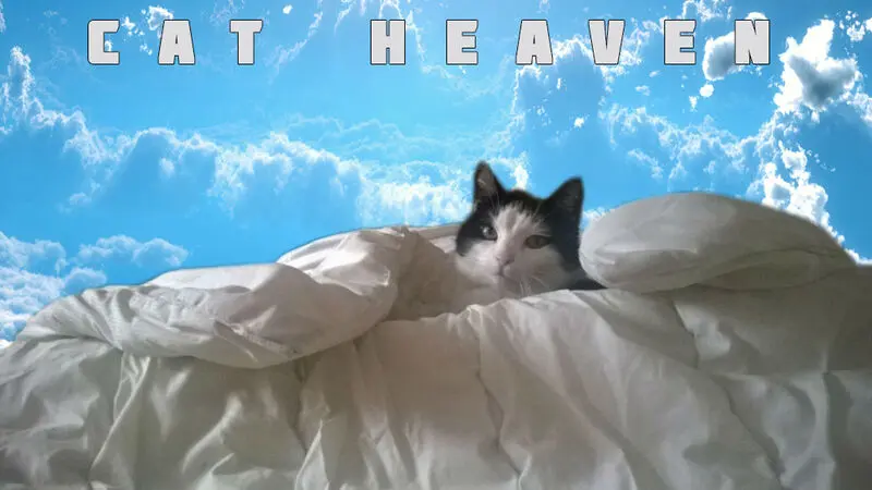 Andachtsbild von Tanja mit Timmy im Herzen 