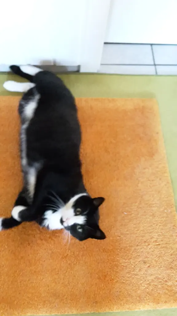 Andachtsbild von ❤Deine Mutti und deine Oma ❤ 