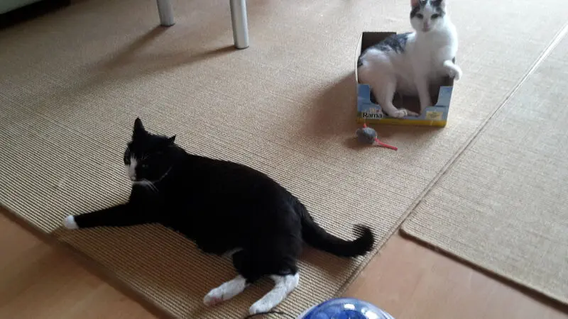 Andachtsbild von ❤Deine Mutti Eike und Oma Edeltraud ❤ 