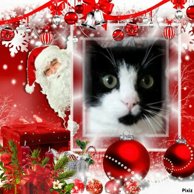 Andachtsbild von Tanja mit Timmy im Herzen 