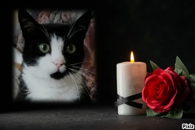 Andachtsbild von Tanja mit Timmy im Herzen 