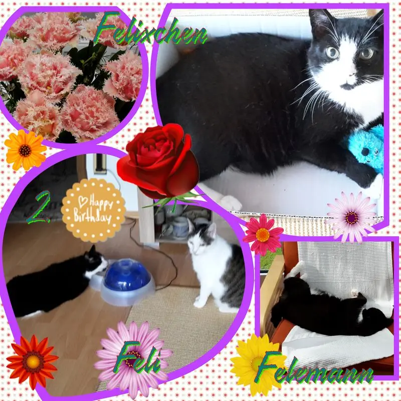 Andachtsbild von ❤Deine Mutti Eike und Oma Edeltraud ❤ 