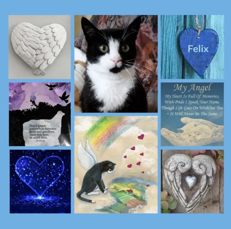 Andachtsbild von Rosen für Felix zum 2. Sternchengeburtstag