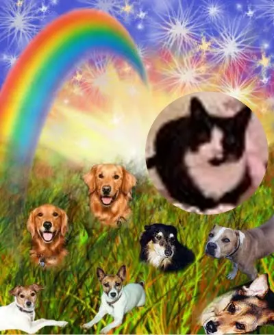 Andachtsbild von 2.Sternchen❤️Gedenktag❤️❤️