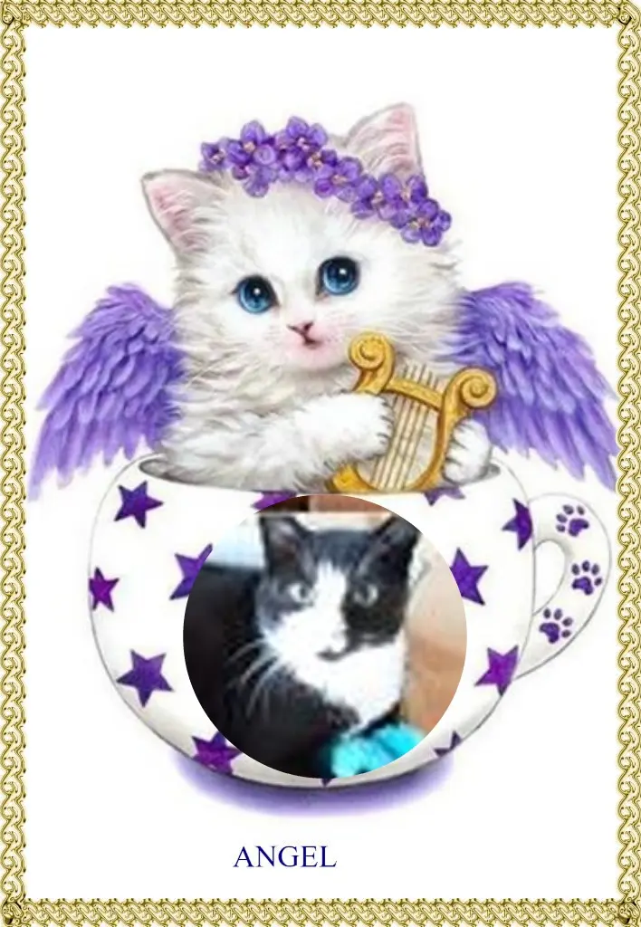 Andachtsbild von 2.Sternchen❤️Gedenktag❤️❤️