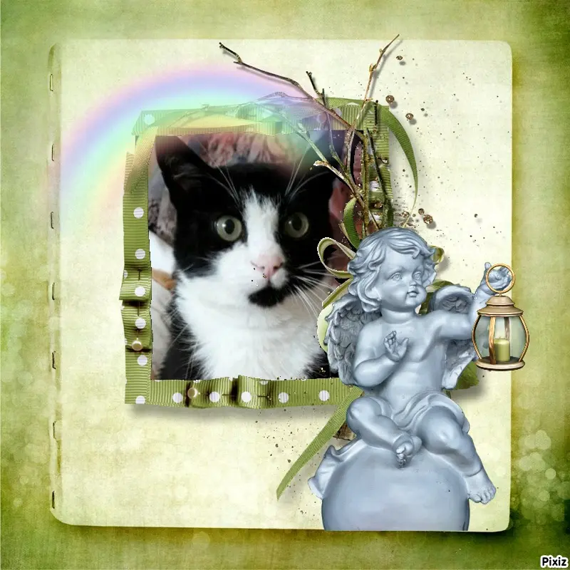 Andachtsbild von Tanja mit Timmy im Herzen 