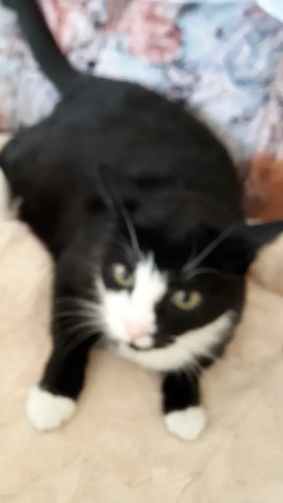 Andachtsbild von ❤️Deine Mutti und deine Oma ❤️