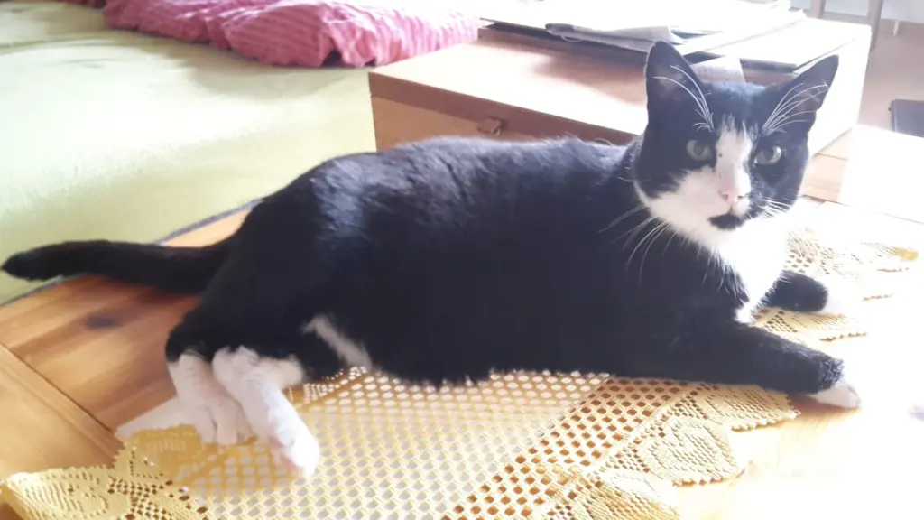 Andachtsbild von ❤️Deine Mutti und deine Oma ❤️ 