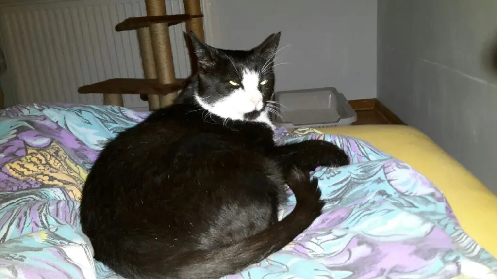 Andachtsbild von ❤️Deine Mutti Eike und Oma Edeltraud ❤️ 