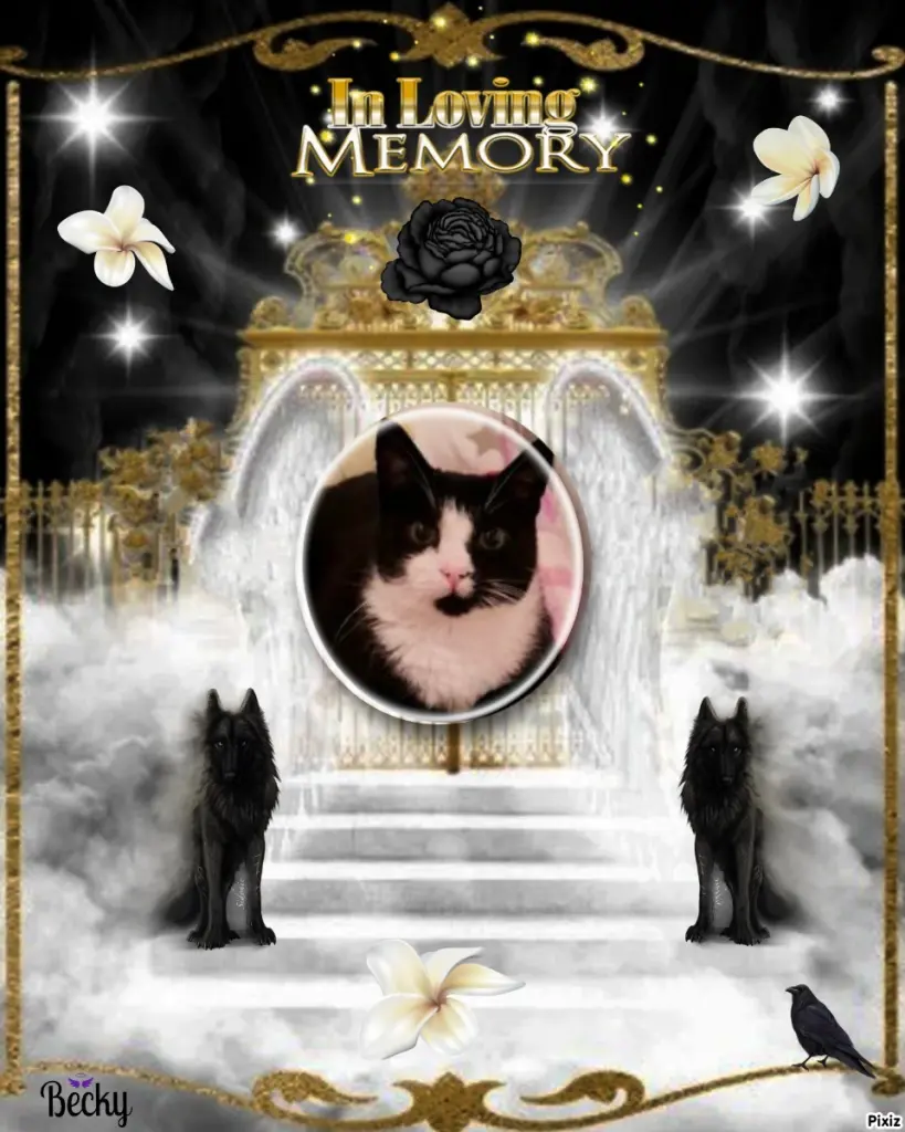 Andachtsbild von Tanja mit Timmy im Herzen 