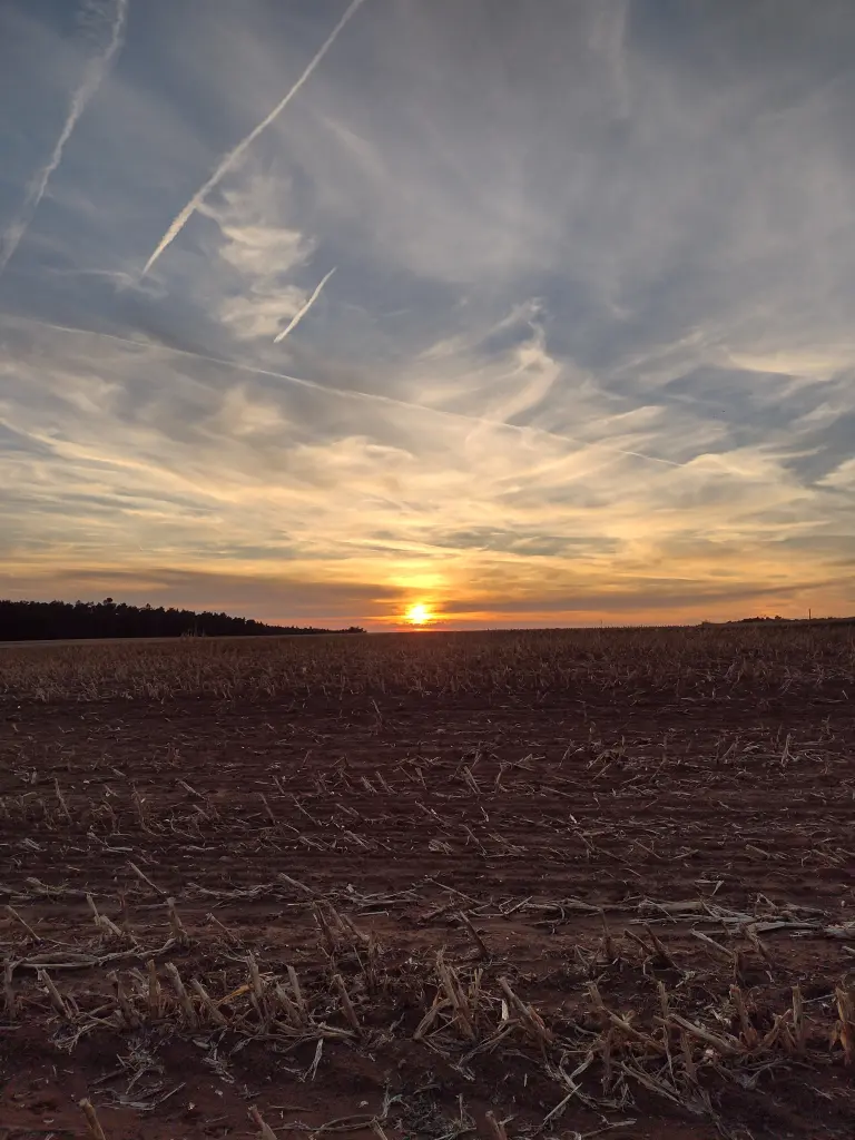 Andachtsbild von Corinna mit Emma, Pummelchen und anderen Sternlein im ❤️