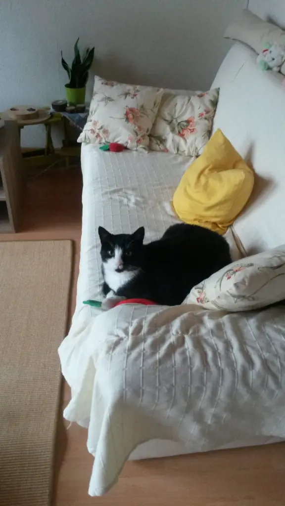 Andachtsbild von ❤️Deine Mutti und deine Oma ❤️ 