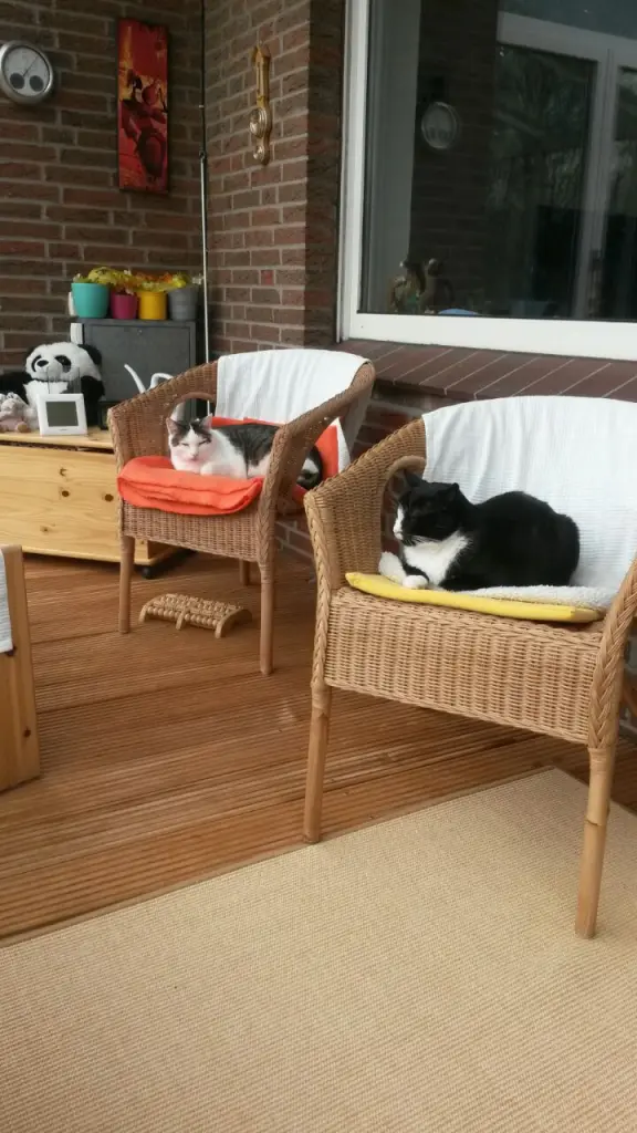 Andachtsbild von ❤️Deine Mutti und deine Oma ❤️ 