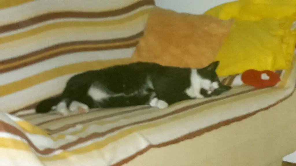 Andachtsbild von Unbekannt