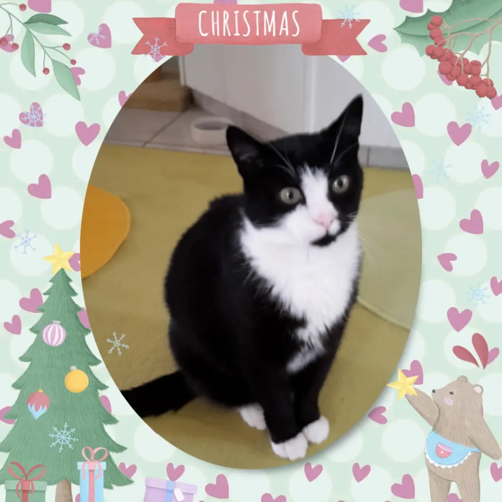 Andachtsbild von ❤️Frohe Weihnachten ❤️ Deine Mutti und deine Oma ❤️ 